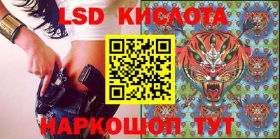 крисы Коммунар