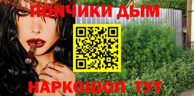 крисы Коммунар