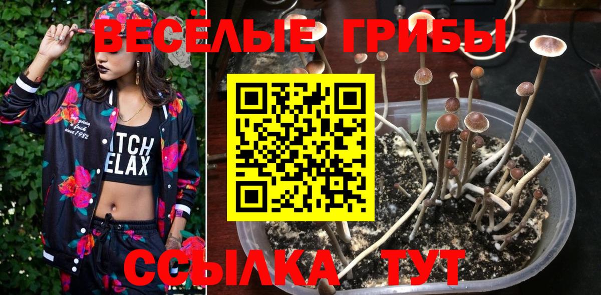 Зеленокумск  Псилоцибиновые грибы MAGIC MUSHROOMS  Псилоцибиновые грибы Psilocybe  Вход с VPN 